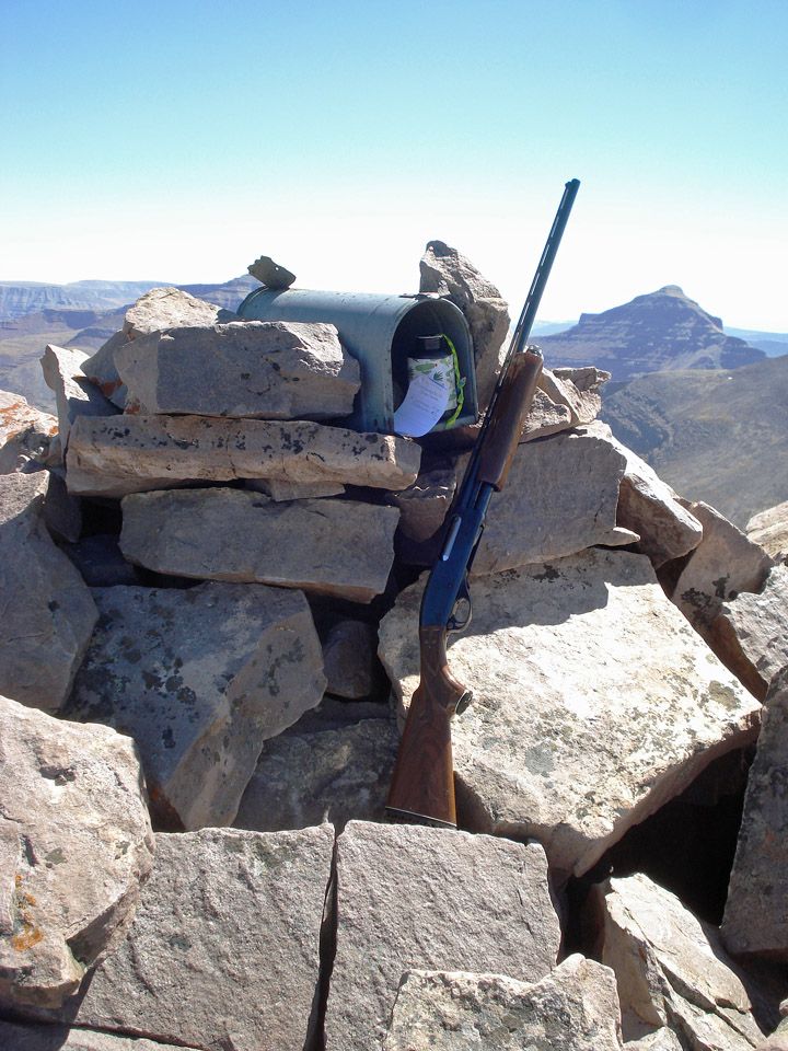 Utah Ptarmigan Hunting for Dummies Utah Wildlife Forum